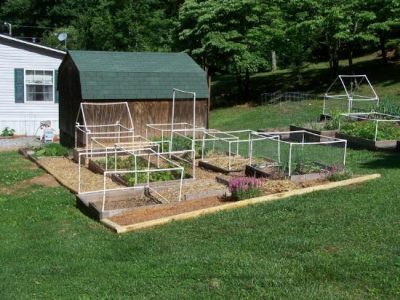 Garden Update: Making It Pretty Image